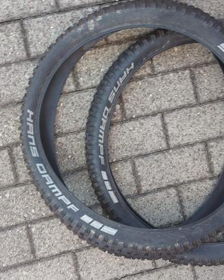 Coppia Copertoni MTB 24" Schwalbe Hans Dampf Addix