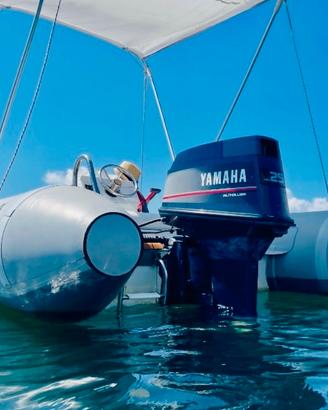 Motore marino Yamaha 25 CV