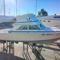 Bertram 28 Fly