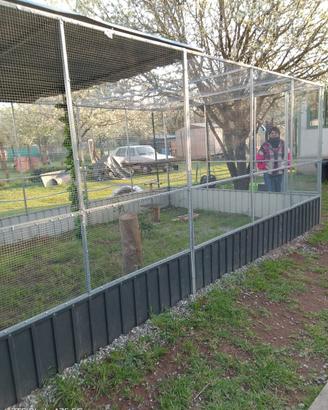 Voliera per uccelli