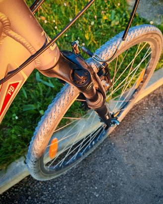 bici Scott Sportster misura S