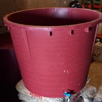 2 tini-mastelloni e diraspatrice per uva