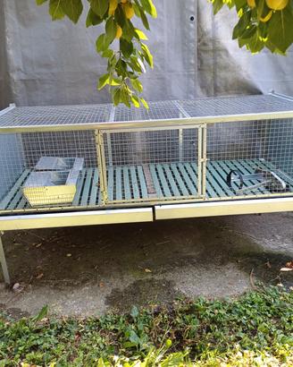Gabbia per conigli