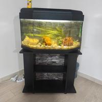 Acquario completo