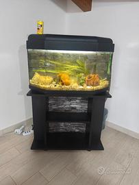 Acquario completo