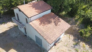 Rifugio nel bosco e tra i vigneti