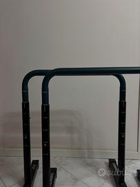 Parallele per dips