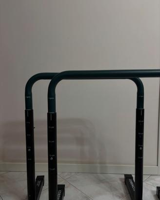Parallele per dips