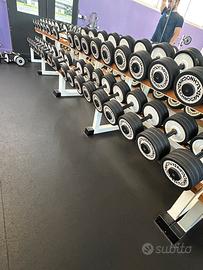 Manubri e 3 rastrelliere technogym