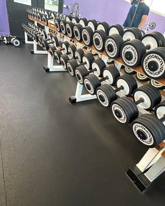 Manubri e 3 rastrelliere technogym