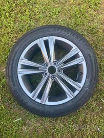 Cerchio polo 2021 AW