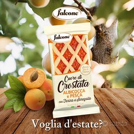 Social Media Manager