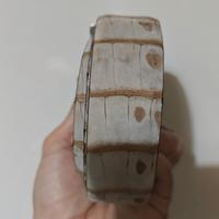 cintura in pelle di coccodrillo e argento 