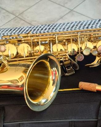 Sax Alto LIEN CHENG A 601 Revisionato (Garanzia)