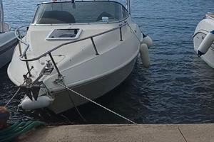 Angelo Molinari Skipper cruiser F40 pro