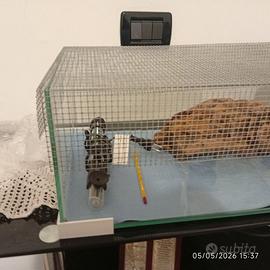 Acquario pesci/tartarughe