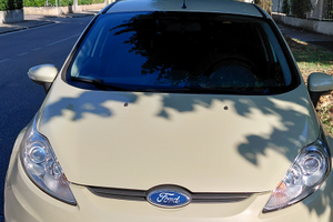 Ford Fiesta usata