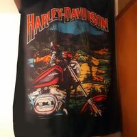 Telo bandiera Harley-Davidson