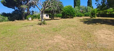 Terreno agricolo