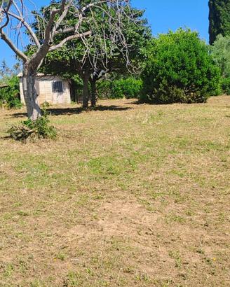 Terreno agricolo