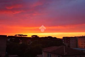 2 LOCALI A ROMA