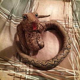 serpente giocattolo 
