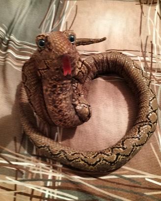 serpente giocattolo 