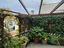 Immagine 9