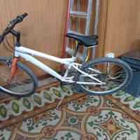 Bicicletta