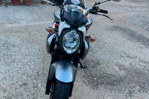 Suzuki SFV Gladius 650