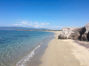Sardegna - Sa Rocca Tunda(OR) Prima fila
