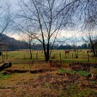 Paddock con capannina