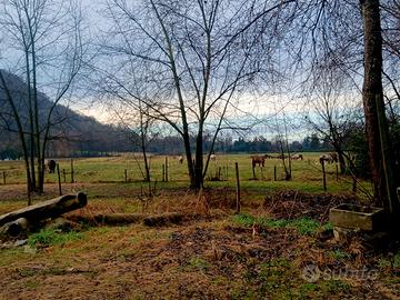 Paddock con capannina