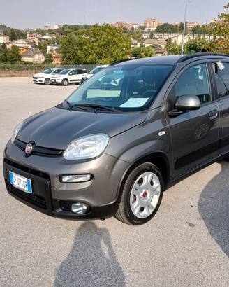 Fiat Panda 1.0 BENZINA HYBRID 2023 CITY LIFE