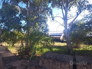 Terreno Agricolo Fiumicino [TerrenoACG] (Le Vignol