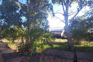 Terreno Agricolo Fiumicino [TerrenoACG] (Le Vignol