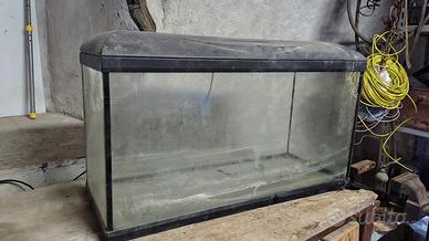 acquario 