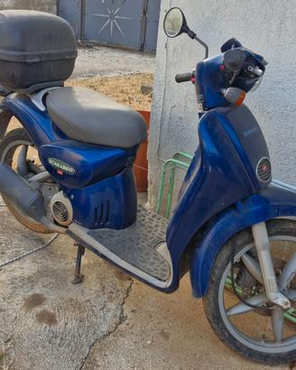 Scarabeo 50
