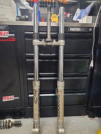 forcella anteriore e mono posteriore