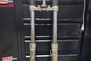 forcella anteriore e mono posteriore