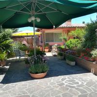 Ombrellone  per ristorazione , mercato o giardino 