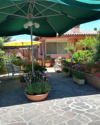 Ombrellone  per ristorazione , mercato o giardino 