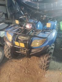 Quad poseydon 4x4