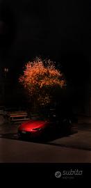 mx5 ND soul red