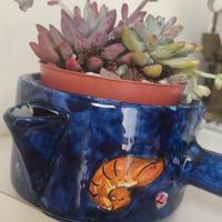 CERAMICA  PALINURO BLU. 1970