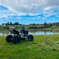 Yamaha raptor 700