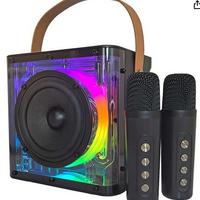 Cassa Bluetooth Karaoke con 2 microfoni wireless