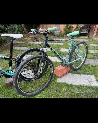 bianchi x brumotti