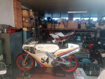 TM mancini 80 gp - 1984