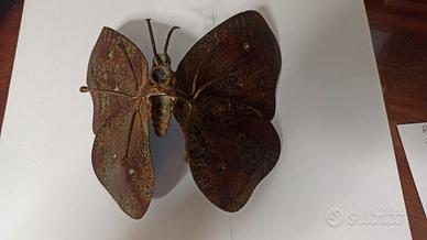 Farfalla im metallo brunito